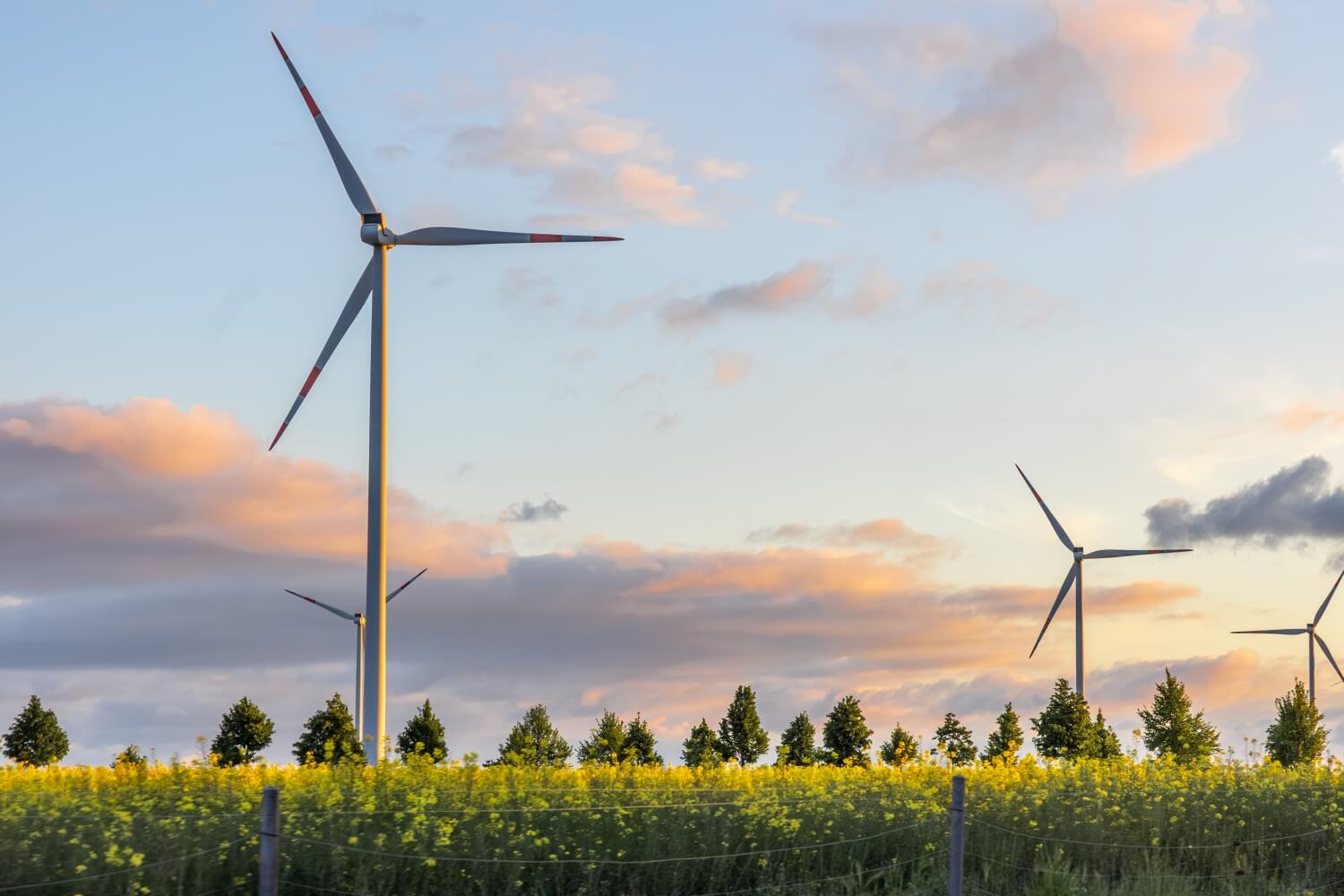 /data/pam/public/wind-turbines-sunset-green-energy-rapeseed-field-nature-harmony.jpg